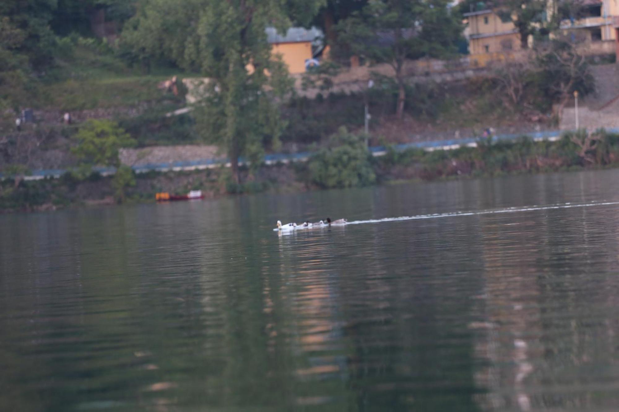 Royal Rosette Lake View Bhimtal ไนนิตาล ภายนอก รูปภาพ
